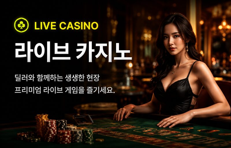 라이브 카지노